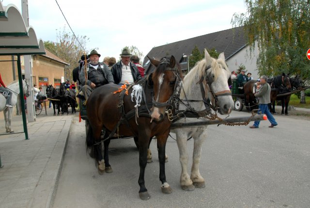 2010 Szüreti felvonulás