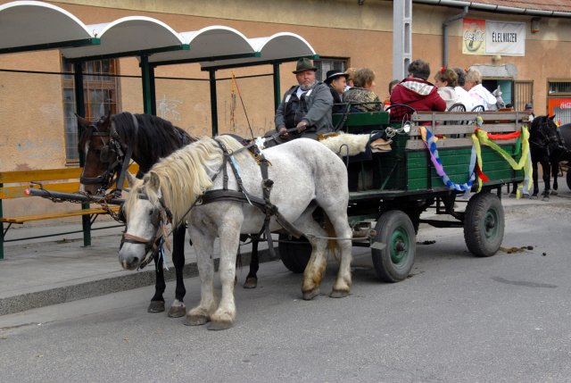 2010 Szüreti felvonulás