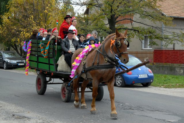 2010 Szüreti felvonulás