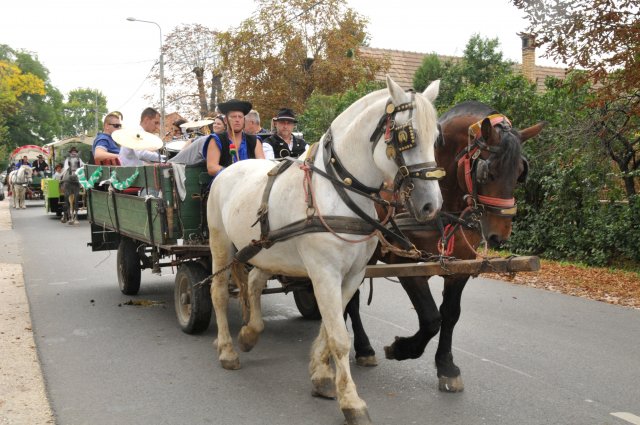 2014 Szüreti Felvonulás