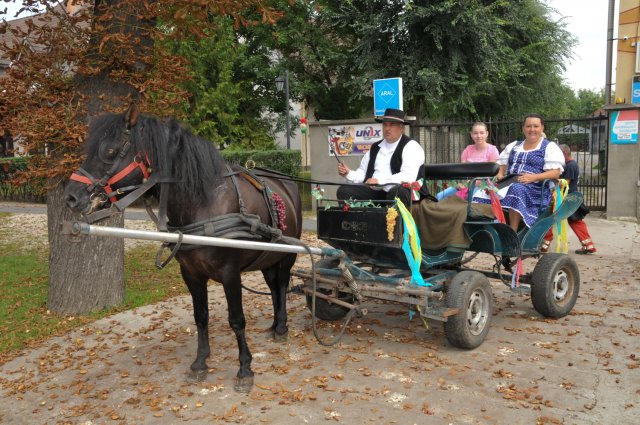 2014 Szüreti Felvonulás