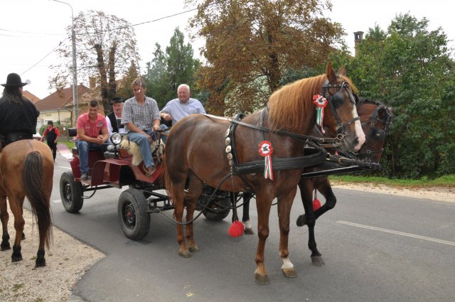 2014 Szüreti Felvonulás