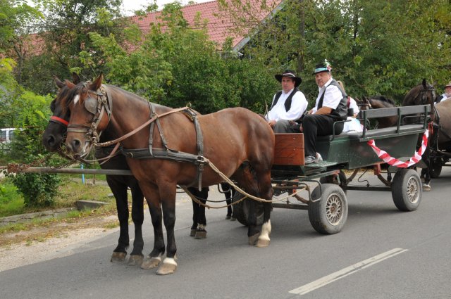 2014 Szüreti Felvonulás