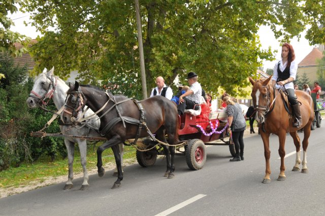 2014 Szüreti Felvonulás