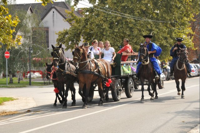 2014 Szüreti Felvonulás