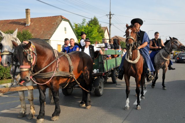 2014 Szüreti Felvonulás